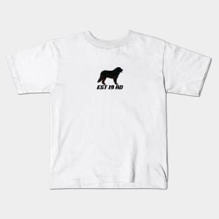 Bernese Mountain Dog Origin Kids T-Shirt